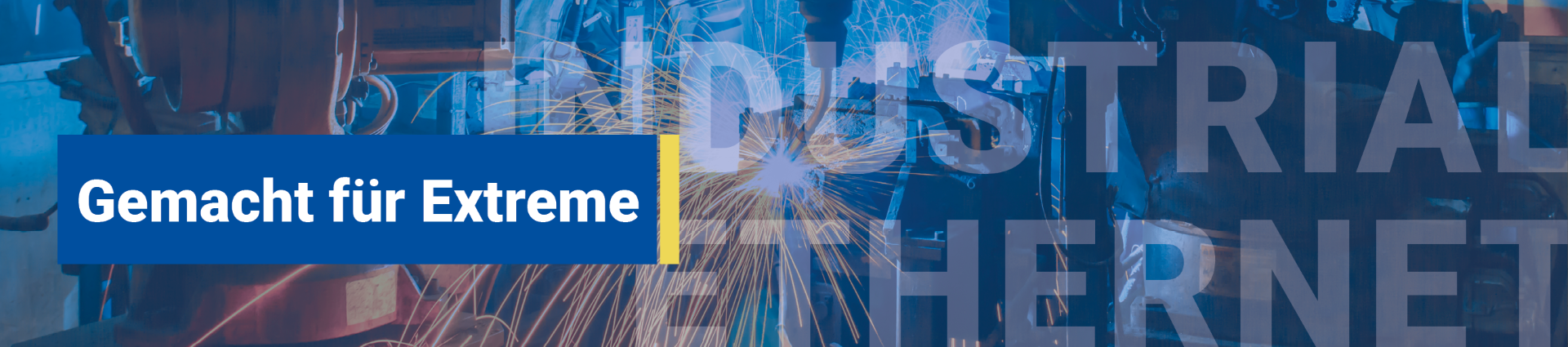 Switches: Netzwerk clever verteilt Banner - KTI Distribution GmbH